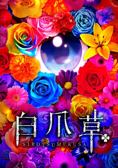 Anime poster: Sirotsumekusa