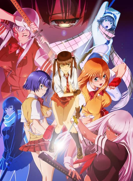 Anime poster: Shin Ikki Tousen