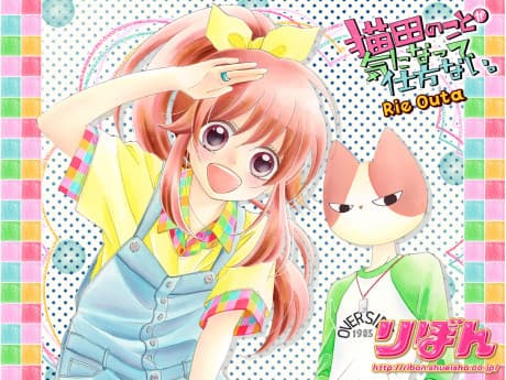 Anime poster: Nekota no Koto ga Kininatte Shikatanai.