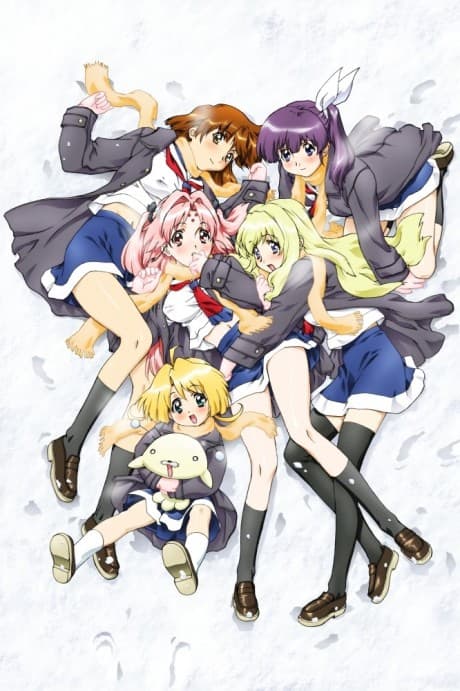 Постер аніме Girls Bravo: Second Season