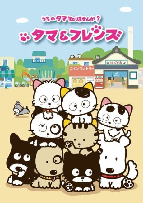 Постер аніме Tama & Friends: Uchi no Tama Shirimasen ka?