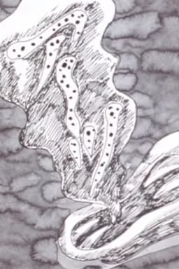 Ten Nights' Dreams