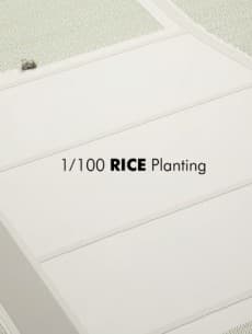 Anime poster: 1/100 Rice Planting