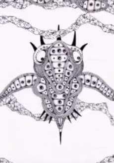 Постер аніме FANTASTIC CELL