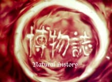 Постер аніме Natural History