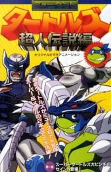 Постер аніме Mutant Turtles: Choujin Densetsu-hen