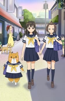 Постер аніме Shiba Inuko-san