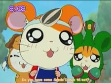 Постер аніме Hamtaro Hai!