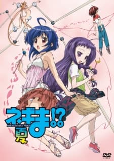 Постер аніме Negima!? Magister Negi Magi: Summer