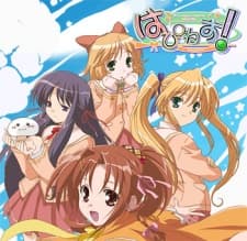 Anime poster: Happiness! OVA
