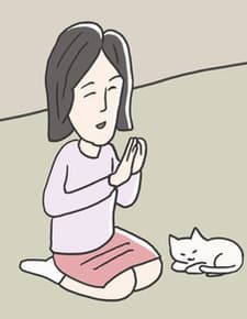 Anime poster: Neko mo, Onda-ke