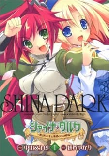 Постер аніме Shina Dark: Kuroki Tsuki no Ou to Souheki no Tsuki no Himegimi
