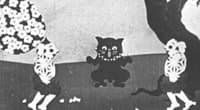 Постер аніме The Black Cat