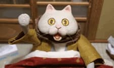 Постер аніме Kotatsu Cat