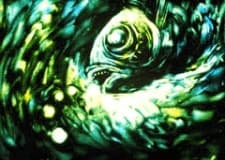 Anime poster: Aquatic