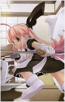 Anime poster: Ichigeki Sacchuu!! Hoihoi-san