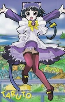 Постер аніме Magical Meow Meow Taruto