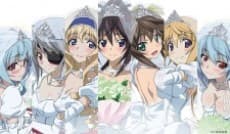 Anime poster: IS: Infinite Stratos 2 - Infinite Wedding