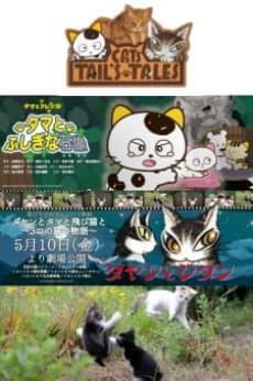 Постер аниме Cats Tail's Tales
