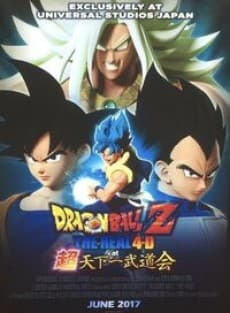 Постер аниме Dragon Ball Z: The Real 4-D at Super Tenkaichi Budokai