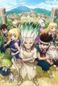 Anime poster: Dr. STONE