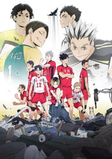 Anime poster: HAIKYU!! LAND VS. AIR