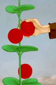 Постер аніме The Red Berry