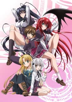 Anime poster: High School DxD